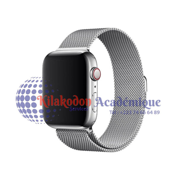 Montre Connectée Premium