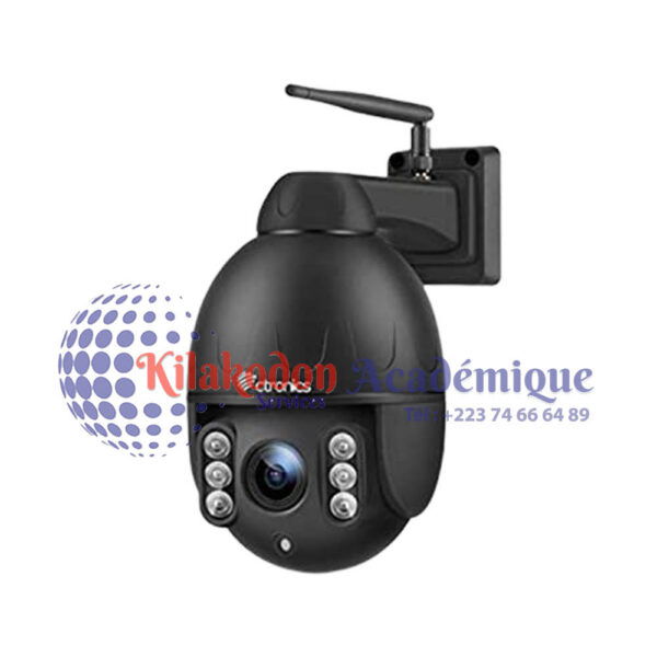 Caméra PTZ IP dôme noire extérieure